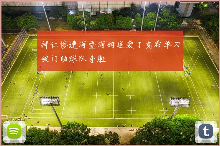 拜仁惨遭海登海姆逆袭丁克希单刀破门助球队夺胜